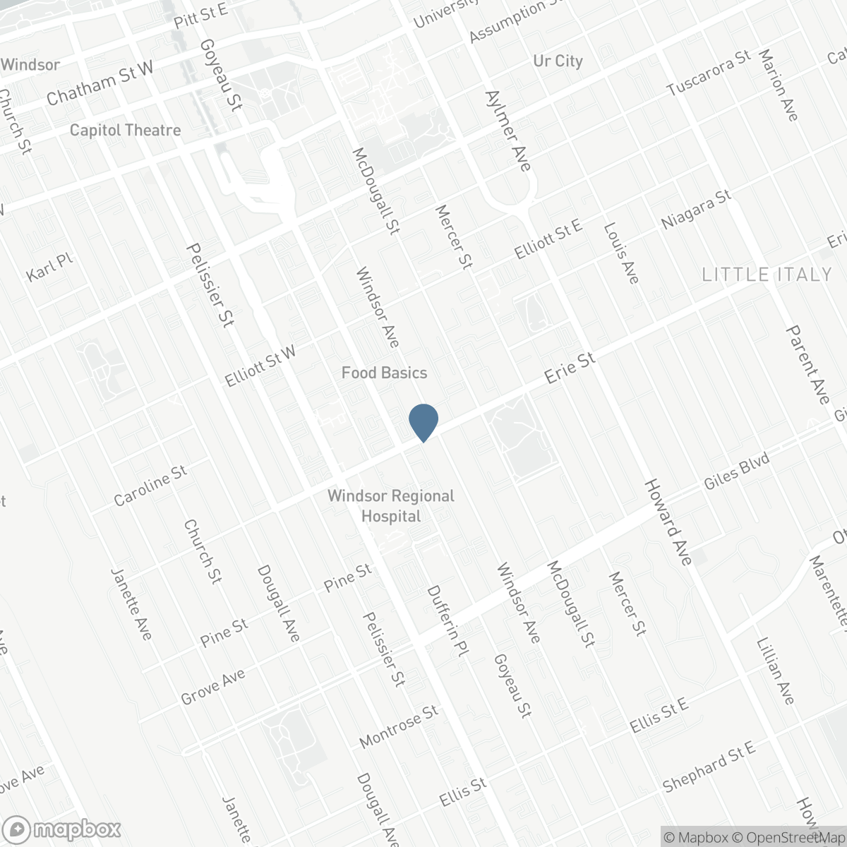 989 WINDSOR AVENUE, Windsor, Ontario N9A 1K1